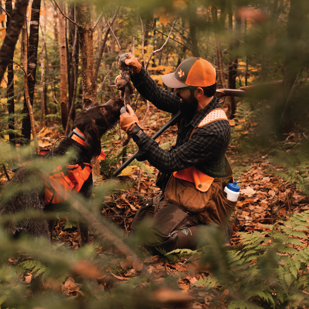 A.J. DeRosa, the founder of Project Upland, hunting the northwoods with his dog. 