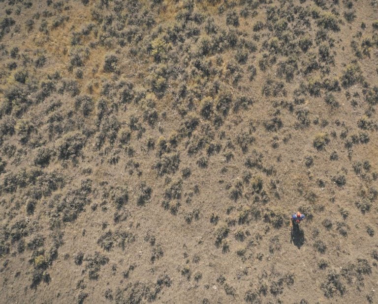 A sage grouse hunter out in a large area of sage grouse habitat.
