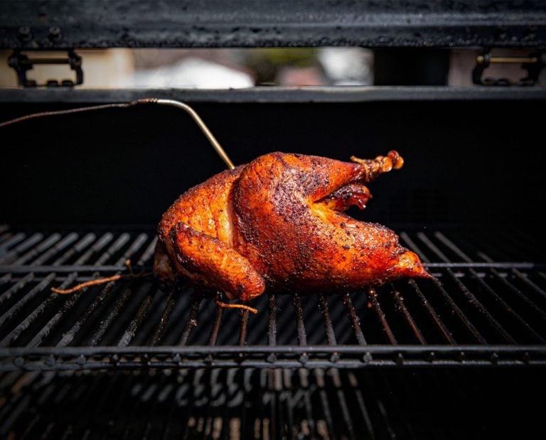 A whole, trussed pheasant roasts in a pellet grill.