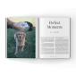 Perefect-dog-stories-