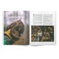 A Solitary Pursuit - Project upland Magazine
