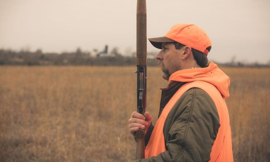 Kyle Hedges hunting bobwhite in a field.