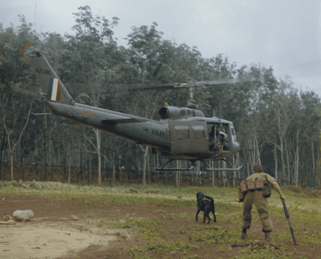 Australian Tracking Lab gets ready to board a helicopter in Vietnam.
