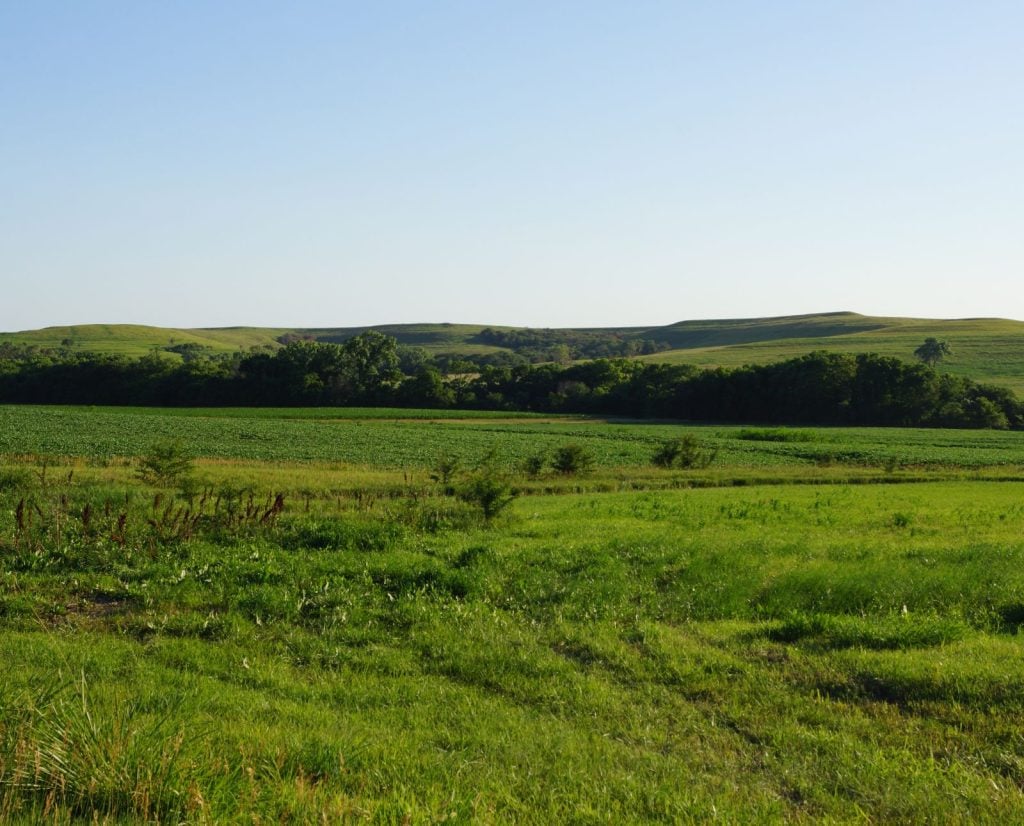 The flint hills of Kansas and upland bird cover habitat and grasslands.